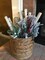 Wilson Decorative White Birch Logs, Natural Bark Wood Home Decor (Set of 12) - 15.5"-17.5" Length 1"-1.5" Dia.